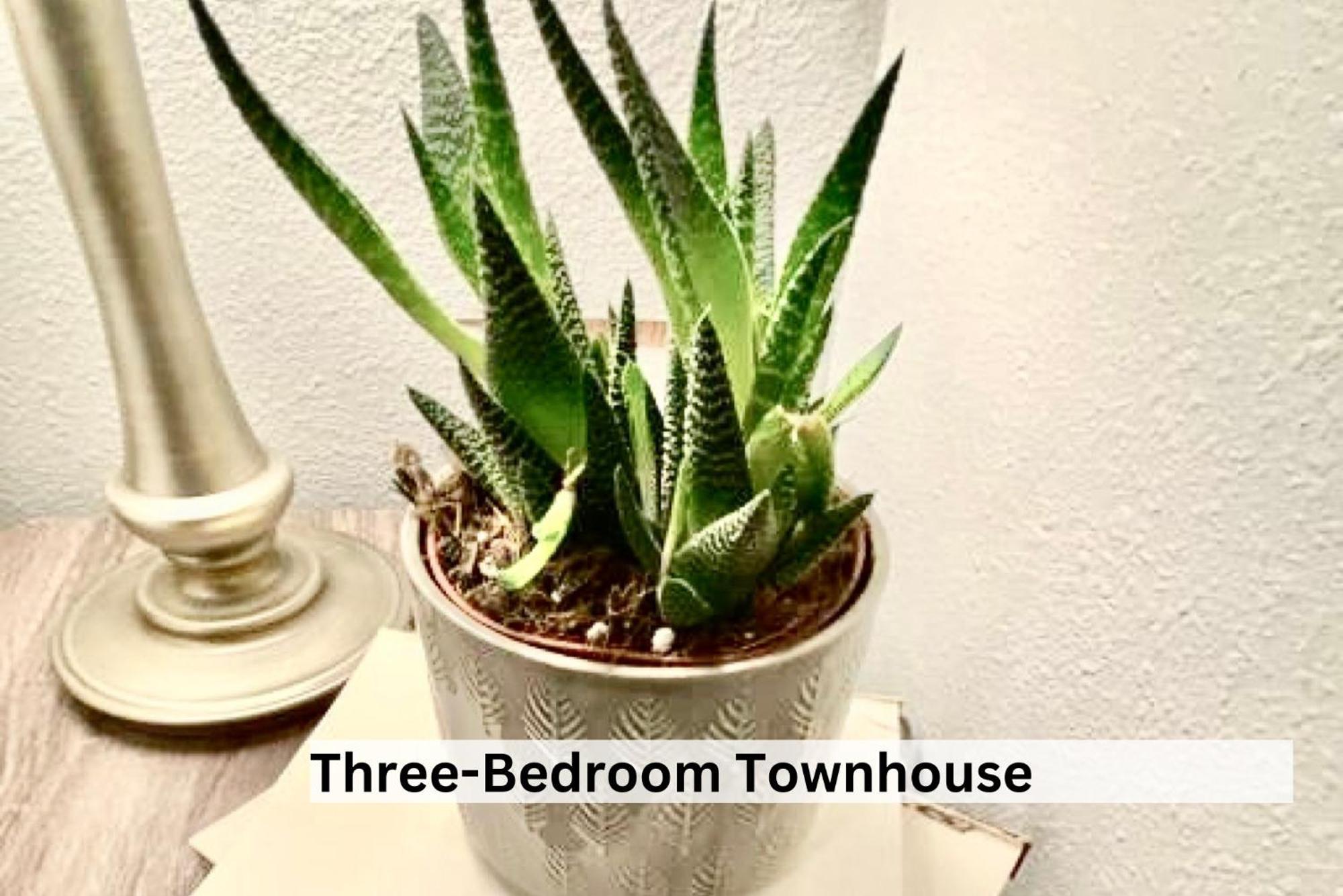 Boutique Apartment In Historic Downtown Albany Esterno foto